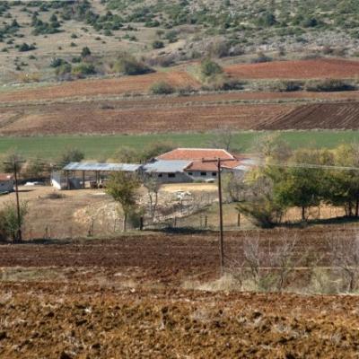 Phoca Thumb L Dsc 0020