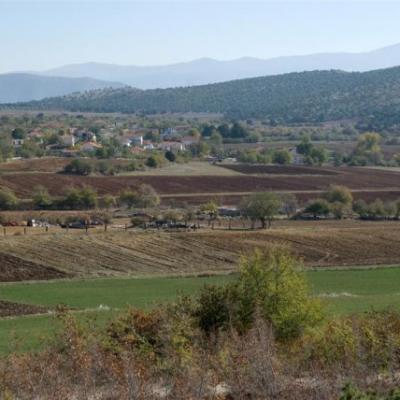 Phoca Thumb L Dsc 0043