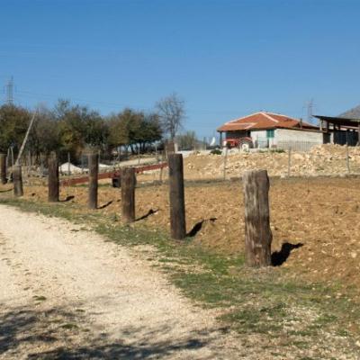 Phoca Thumb L Dsc 0059