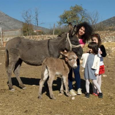 Phoca Thumb L Dsc 0065