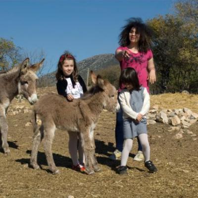 Phoca Thumb L Dsc 0070