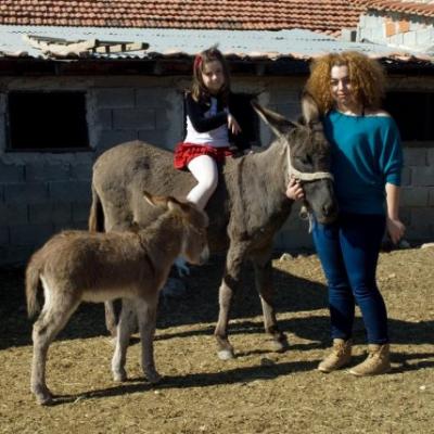 Phoca Thumb L Dsc 0089