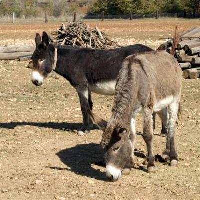 Phoca Thumb L Dsc 0097