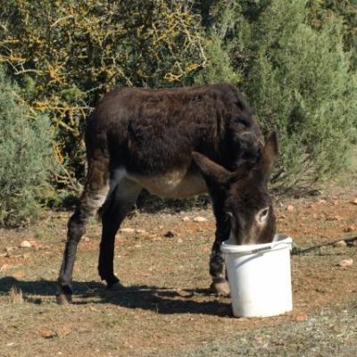 Phoca Thumb L Dsc 0109