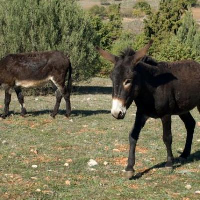 Phoca Thumb L Dsc 0112