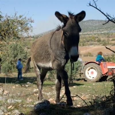 Phoca Thumb L Dsc 0121