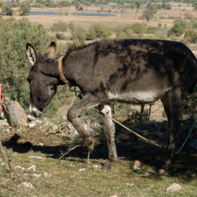 Phoca Thumb L Dsc 0122