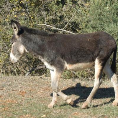 Phoca Thumb L Dsc 0124