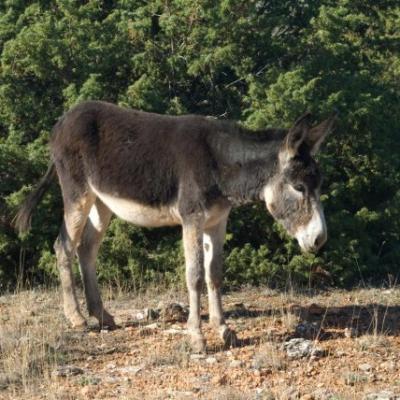 Phoca Thumb L Dsc 0126