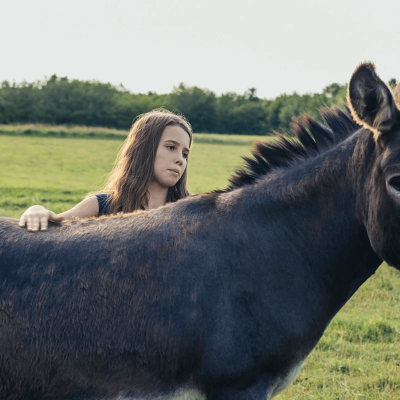 Donkey Milk Farm 1296x728 Header